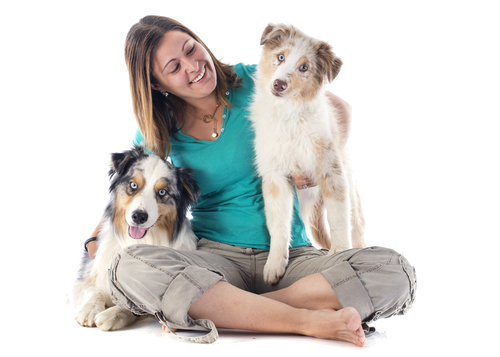 Bee propolis for dogs sales teeth