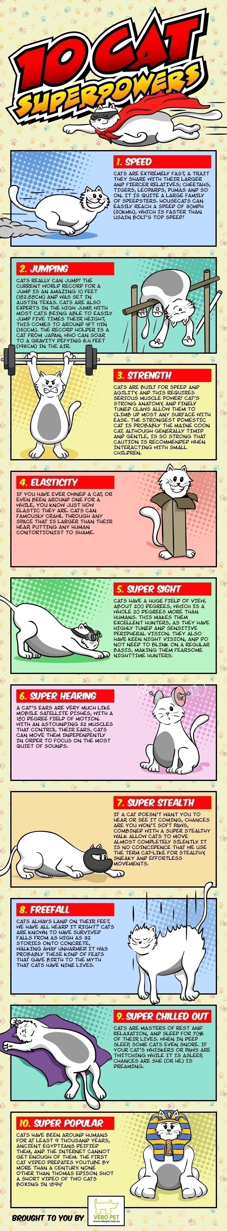 10 Cat Super Powers