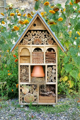 5 Creative Ways to Give Wildlife a Home