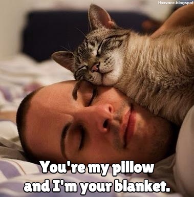 Dear Tired Tails, You have been bestowed a great honor. As cats, we don't always wear our hearts on our paws, but one tell-tail sign we love and trust you is when we choose to make YOU our bed. Plus, you're warm. And getting our warmth from you helps us to conserve our own energy for more important things like eating. The rhythm of your breath also creates a calming effect and the curve of your face, stomach, or legs perfectly forms to our bodies. Basically, you're like a waterbed, heated blanket, and memory foam all in one! So the next time your cat goes to curl up on you, think of it as a compliment and drift off to sleep knowing you are loved... and you're very comfortable.