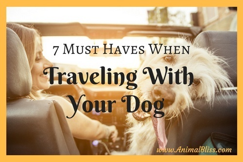 Are you planning a trip and want to take your dog along? If you think that it sounds too complicated, check out this list of 7 must haves when traveling with your dog that will help make it easier than you think.