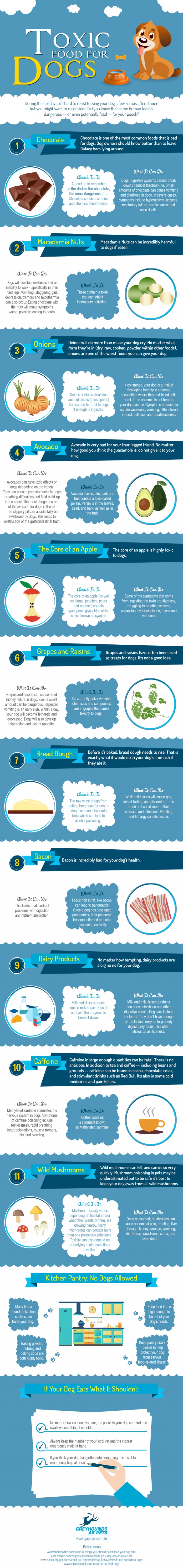 Toxic Foods for Your Dogs [Infographic]