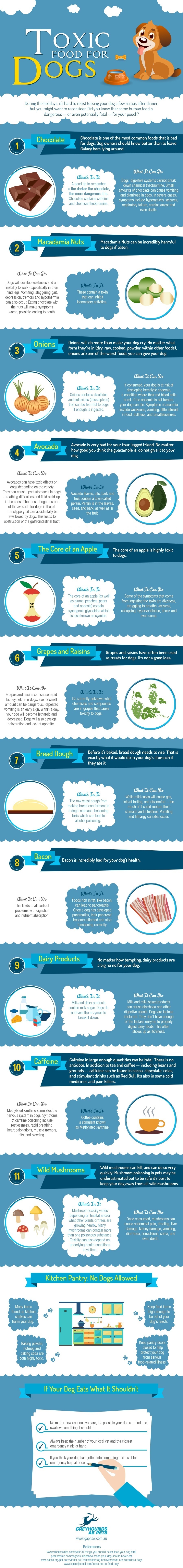 Infographic–Toxic-Food-for-Your-Dog