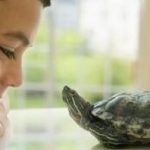 What You Need to Prepare Your Home for a New Pet