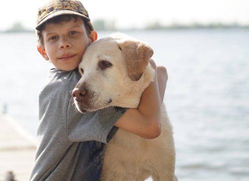 When choosing a dog for your children, there are many things you need to consider..