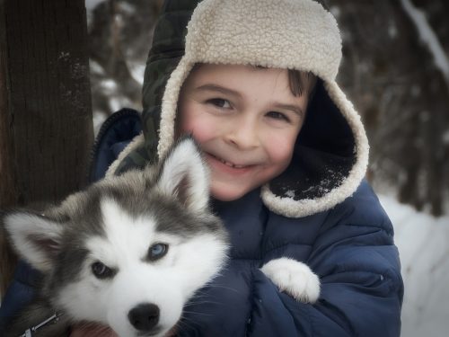 When choosing a dog for your children, there are many things you need to consider.