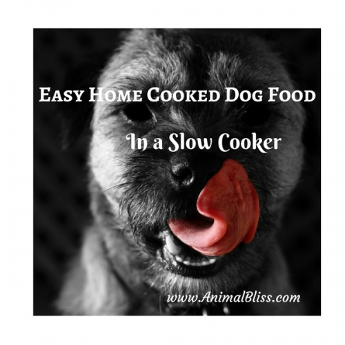 How to Make Easy Home Cooked Dog Food in a Slow Cooker