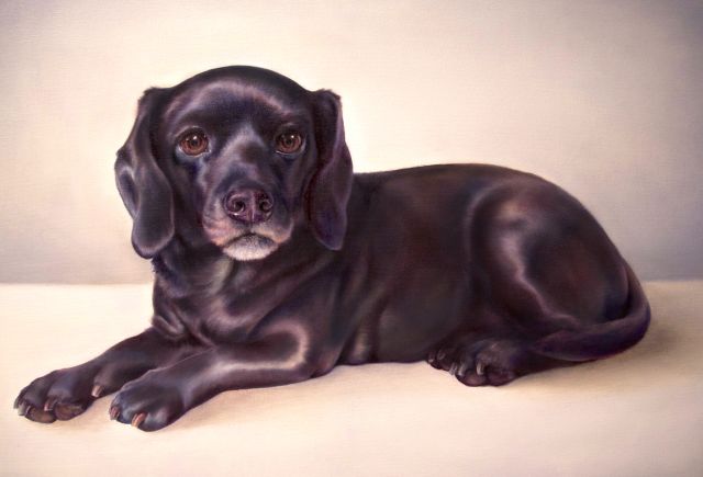 Kate Crosgrove, Pet Portrait Artist