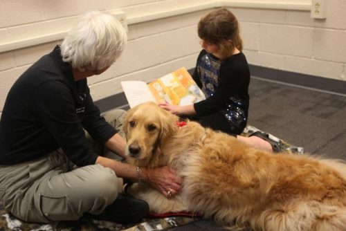 Trained therapy dogs have many uses, helping and healing in many health fields. - www.animalbliss.com