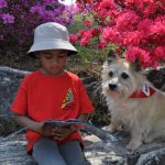 Therapy Dogs Have Many Uses : Animal Assisted Therapy