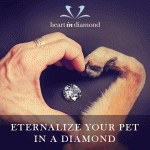 Memorialize Your Pet Forever In a Diamond