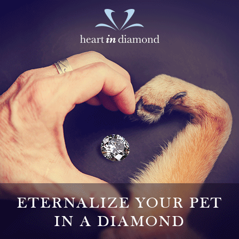 Memorialize your pet forever by having their ashes and fur made into a diamond.