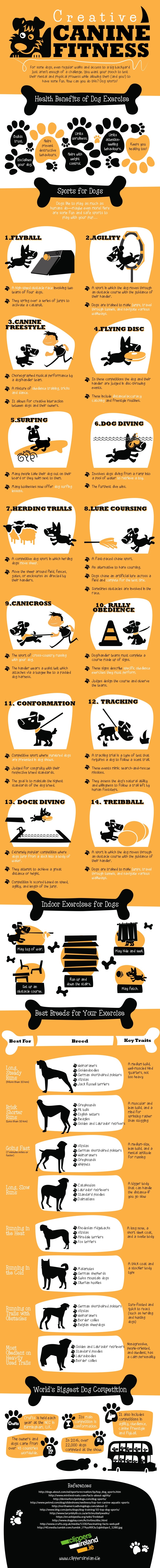 Creative Canine FItness Infographic