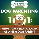 Dog Parenting 101 – Everything You Need to Know
