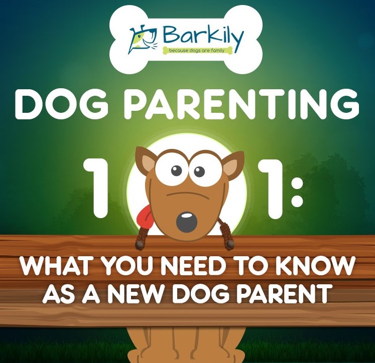 Dog Parenting 101 - Everything You Need to Know - an Infographic
