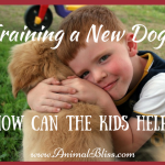 Training a New Dog: Some Ideas on How You Can Get the Kids Involved