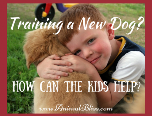 Training a new dog? How to Get the Kids to Help