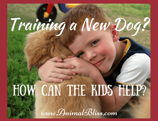 Training a New Dog: Some Ideas on How You Can Get the Kids Involved