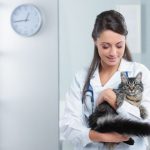5 Degrees for Animal Lovers: Animal Careers