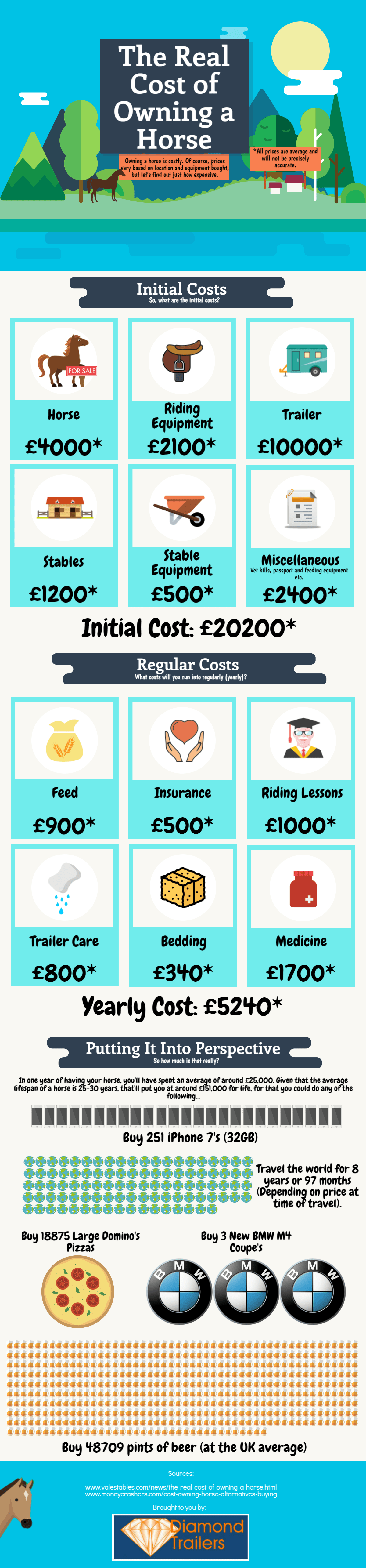 The Cost of Owning a Horse