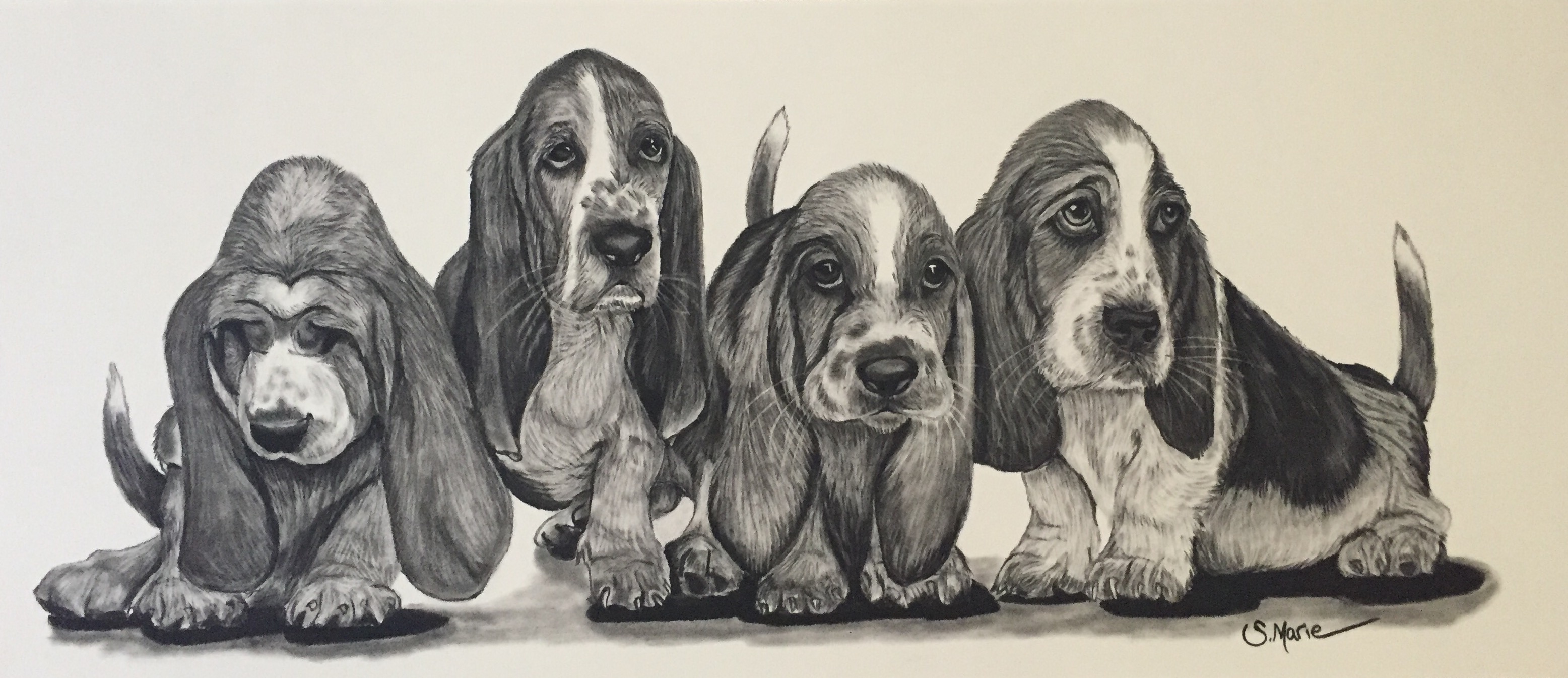 Shannon Marie Schacht - Animal Portrait Artist