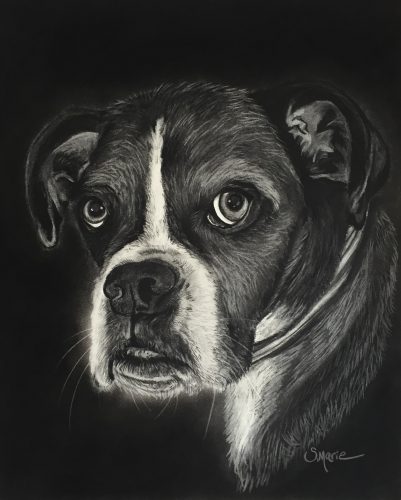 Shannon Marie Schacht - Animal Portrait Artist