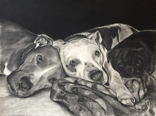 Shannon Marie Schacht - Animal Portrait Artist