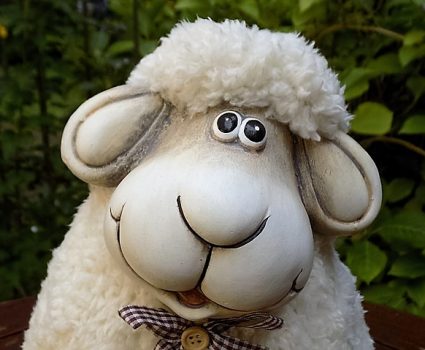 because sheep deserve to be hugged for all the warm sweaters