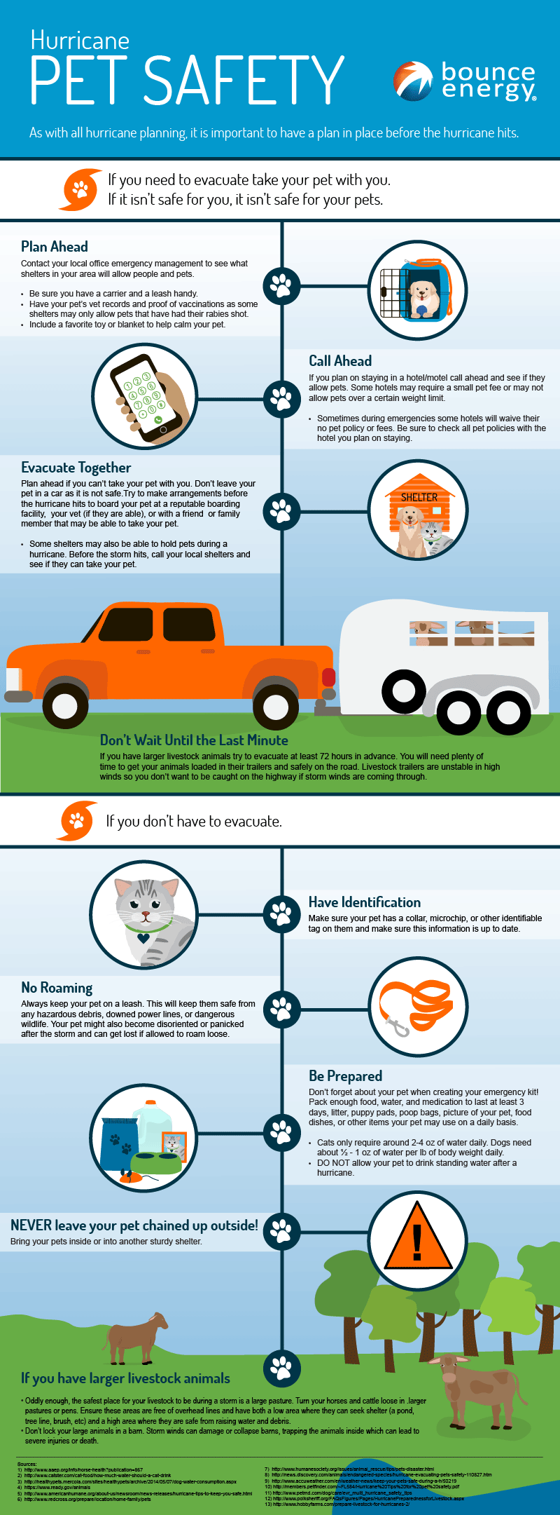 Hurricane Safety for your Pets