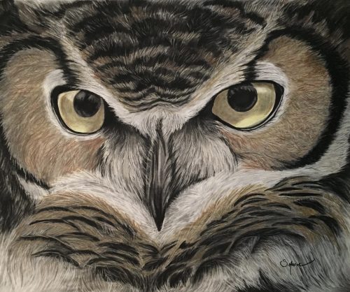 Shannon Marie Schacht - Animal Portrait Artist