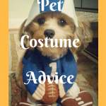 Halloween Pet Safety Tips and Pet Costume Advice