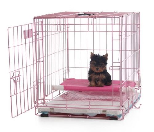 How to crate train a puppy in an apartment clearance