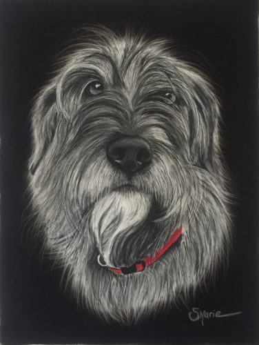 Shannon Marie Schacht - Animal Portrait Artist