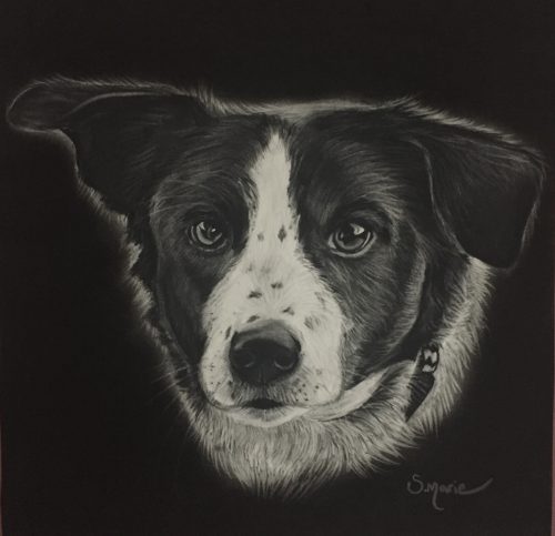 Shannon Marie Schacht - Animal Portrait Artist