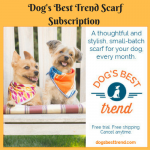 Dog’s Best Trend Scarf Subscription Review