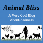 Animal Bliss : a very cool blog about animals - wildlife and domestic pets too. Come check us out.