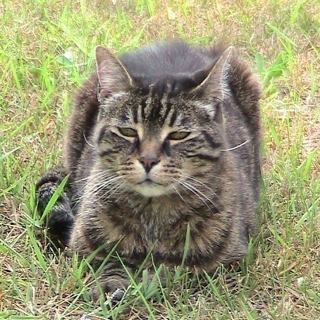 Jessie, 20 yrs