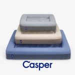 Casper Dog Bed : A Dog’s Dream Come True?