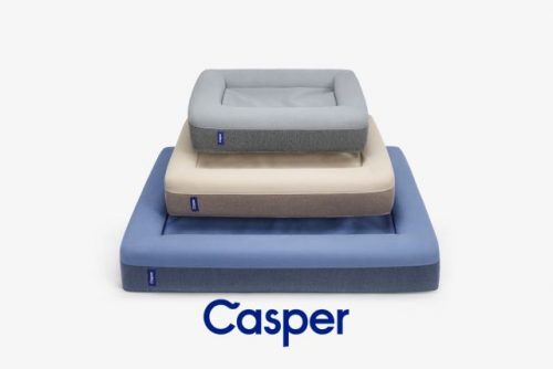 The Casper Dog Bed Review