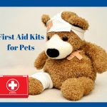 7 Essentials to Keep in Your First Aid Kit for Your Pets