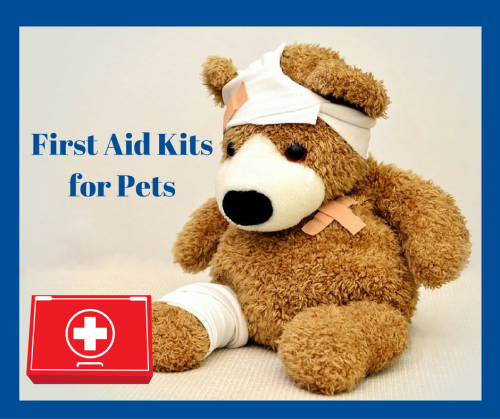 First Aid Kit for Your Pets