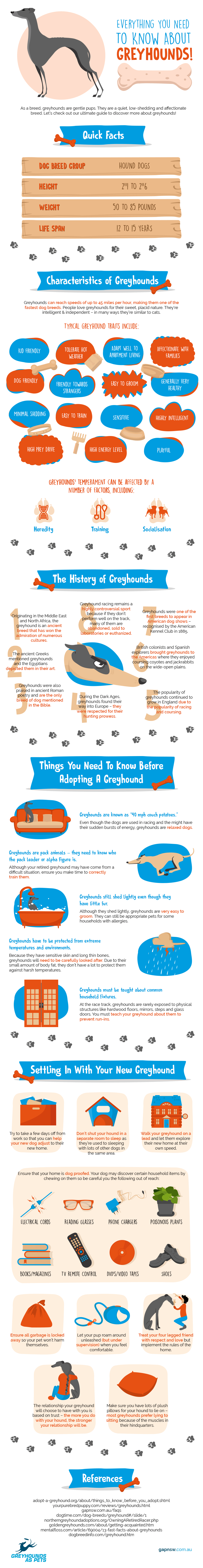 Greyhounds can reach speeds of up to 45 miles per hour (Visual Asset)