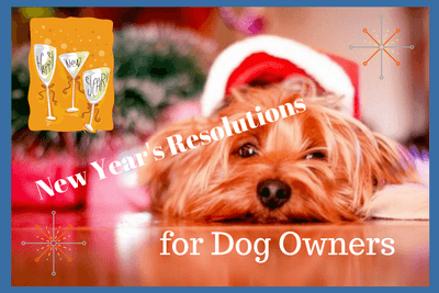 New Year's Resolutions for Dog Owners