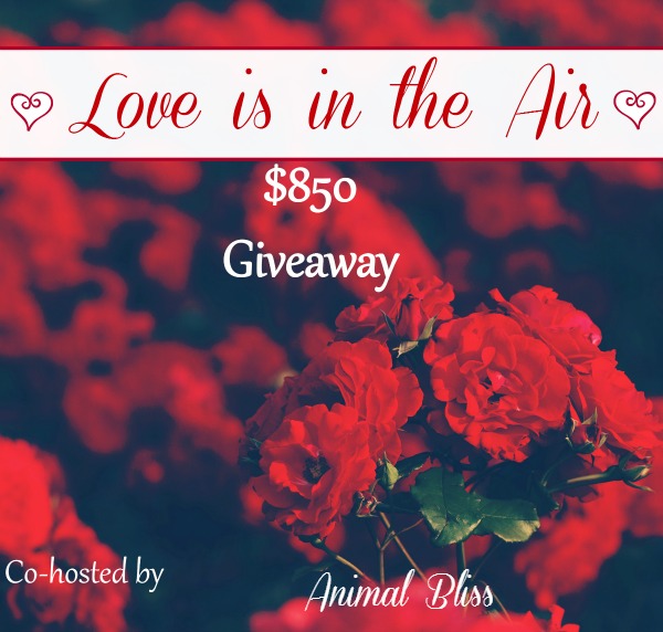 Love is in the Air Giveaway