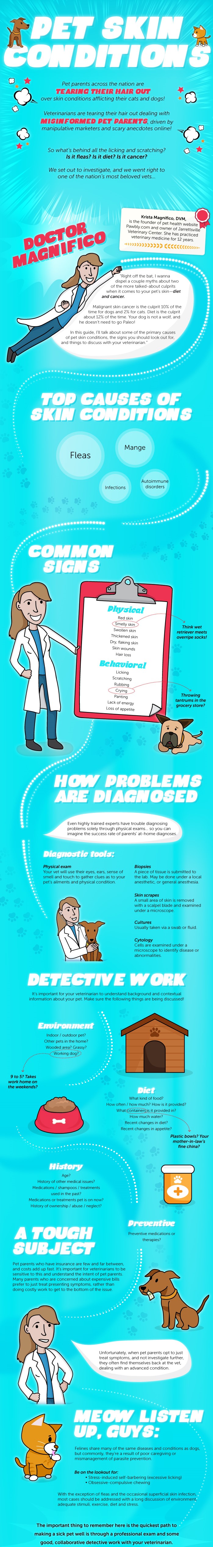 Common Skin Conditions in Pets Infographic