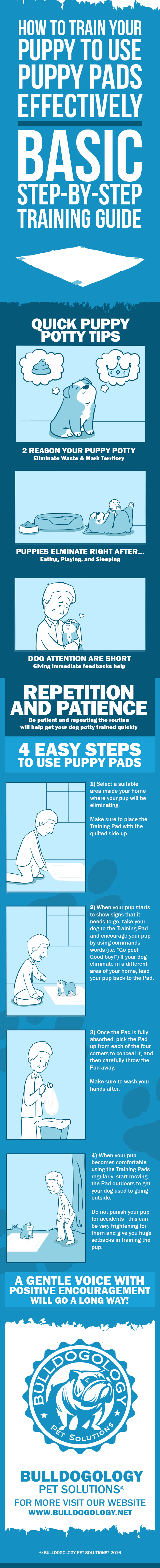 Training Your Puppy to Use Puppy Pads