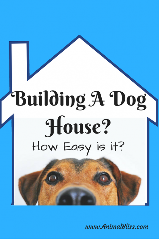 Building A Dog House - How Easy is it? - Animal Bliss