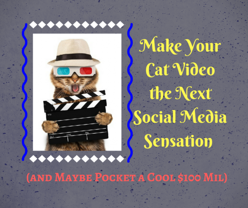 Make Your Cat Video the Next Social Media Sensation (and Maybe Pocket a Cool $100 Mil)