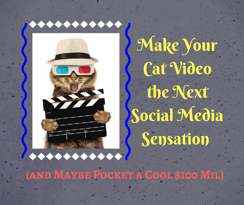 Make Your Cat Videos the Next Social Media Sensation (and Maybe Pocket a Cool $100 Mil)