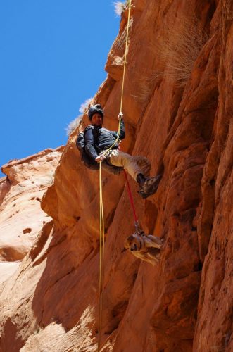 Getting your dog ready for outdoor adventures can be a lot of fun, but you have to prepare your dog first.